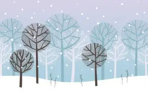 A picture of trees during winter with snow on the ground and snowflakes falling from the sly.