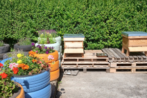 Colourful flowers and beehives in a garden.